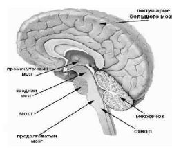 C:\Users\лариса\Desktop\статьи\image-47.jpg