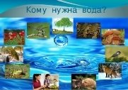 https://ds04.infourok.ru/uploads/ex/040f/0016faf6-c1a938b8/img12.jpg