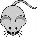 C:\Users\user\AppData\Local\Microsoft\Windows\Temporary Internet Files\Content.Word\2-20220206_235333.png