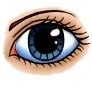 C:\Users\user\AppData\Local\Microsoft\Windows\Temporary Internet Files\Content.Word\1648415833_86156_url.jpeg