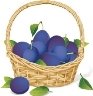C:\Users\user\AppData\Local\Microsoft\Windows\Temporary Internet Files\Content.Word\istockphoto-167126724-612x612.jpg
