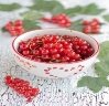 C:\Users\user\AppData\Local\Microsoft\Windows\Temporary Internet Files\Content.Word\baf13e19105e34dfe7f57fe80cee82c9--red-currants-dried-fruit.jpg