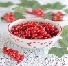 C:\Users\user\AppData\Local\Microsoft\Windows\Temporary Internet Files\Content.Word\baf13e19105e34dfe7f57fe80cee82c9--red-currants-dried-fruit.jpg