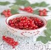 C:\Users\user\AppData\Local\Microsoft\Windows\Temporary Internet Files\Content.Word\baf13e19105e34dfe7f57fe80cee82c9--red-currants-dried-fruit.jpg