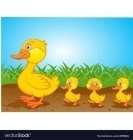 C:\Users\user\AppData\Local\Microsoft\Windows\Temporary Internet Files\Content.Word\cute-family-duck-cartoon-vector-894026.jpg