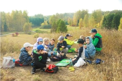 Экологические занятия на природе
