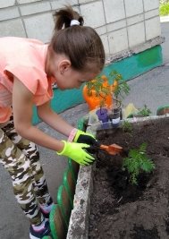 Экологические занятия на природе