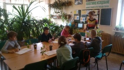 Первые исследования под руководством педагога