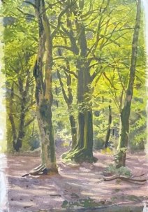 «В Сочинском парке». вып. Куликова Арина, 14 лет