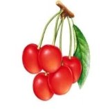 C:\Users\Рита\Desktop\frutifera5.jpg
