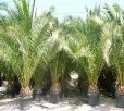 Изображение с сайта vsegda-pomnim.com