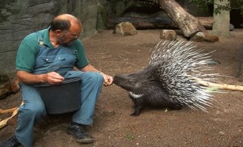 http://zoounion.org/modx/assets/images/Gallery/sidebar_world_zoo/01_hamburg07_asab.jpg