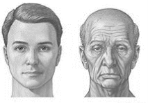 https://upload.wikimedia.org/wikipedia/ru/thumb/5/5c/Maleskinaging.jpg/220px-Maleskinaging.jpg