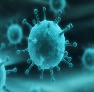 C:\Users\Татьяна\Desktop\проекты тимур\вирус проект мустафин 5 кл\фото вирус\virus.jpg