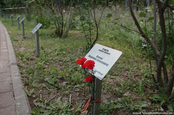 70. Парк Сев Тушино. 31.07.16.25..jpg