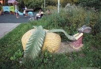 67. Парк Сев Тушино. 31.07.16.20..jpg