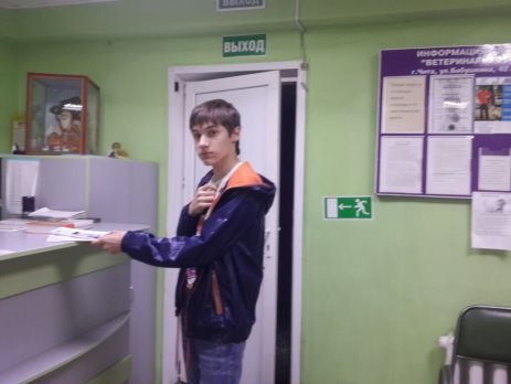C:\Users\slava\Desktop\IMG-20170510-WA0000.jpg