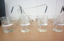 C:\Users\user\Desktop\егор\P1000096.jpg