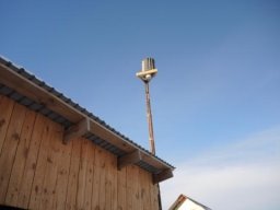 https://hornews.com/upload/images/qTeHPzlF0pY.jpg.pagespeed.ce.xnu54jiPas.jpg