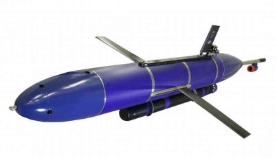 G:\Статья и письмо\глайдер 1.jpg