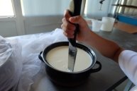 D:\СЫР\фото по сыру\DSCF2446.JPG