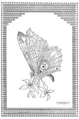 http://visualoop.com/media/2016/02/Untitled-by-Flora-F.F.-Stacey-1898.jpg