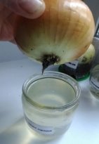 C:\Users\Paul_Nesterov\AppData\Local\Microsoft\Windows\Temporary Internet Files\Content.Word\P_20161020_133837_1_p.jpg