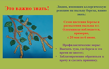 C:\Users\Галина\Desktop\Я - ИССЛЕДОВАТЕЛЬ\Денис БЕРЕЗА\Листовка.png