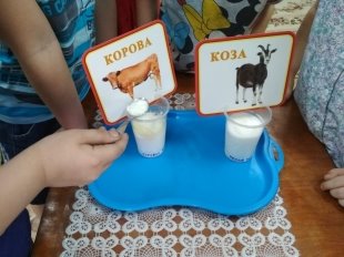 F:\IMG-20190201-WA0014.jpg