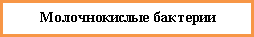 Фотографии микроскопических наблюдений