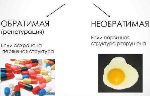 ../../Users/user/Desktop/image-1