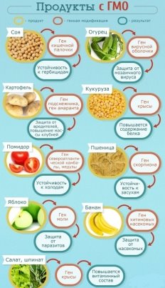https://womanadvice.ru/sites/default/files/27/2016-12-24_2142/geneticheski_modificirovannye_produkty4.jpg