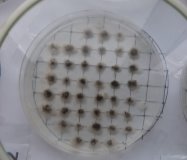 C:\Users\Светлана Михайловна\AppData\Local\Microsoft\Windows\INetCache\Content.Word\IMG-20191024-WA0005.jpg