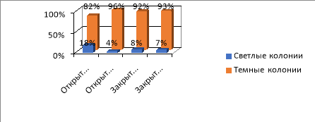 Соотношение светлых и темных колоний на четвертый день (Ул. Южная)