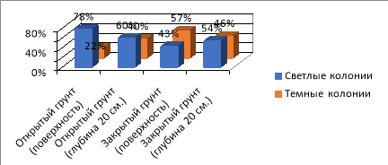 Соотношение светлых и темных колоний на четвертый день (Ул. Рабочая)