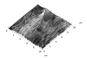 D:\vanchop\YandexDisk\Школа\Школа 12\Полиэтилен\AFM\Фторалкан (Фторопласт) F14H20.jpg