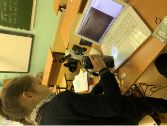 , 5, 6. Работа с микроскопом