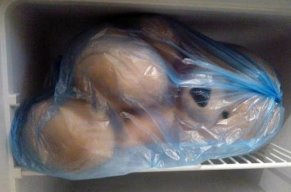 Игрушка в морозильной камере