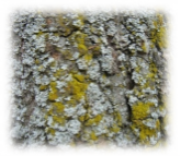 http://900igr.net/up/datai/250130/0015-006-.jpg