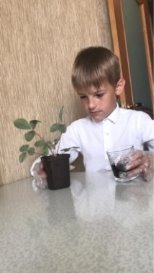 –7. Подкормка удобрением
