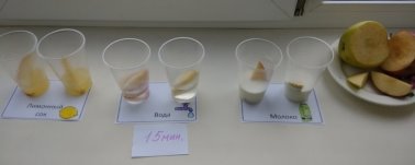 F:\НПК 20\про яблоки\IMG_20200115_104018.jpg