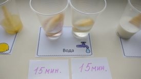 F:\НПК 20\про яблоки\IMG_20200115_110258.jpg