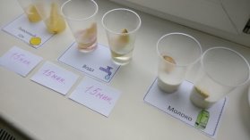 F:\НПК 20\про яблоки\IMG_20200115_112518.jpg