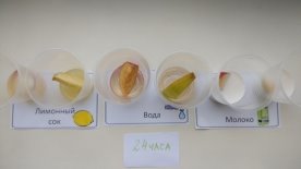 F:\НПК 20\про яблоки\IMG_20200116_105810.jpg