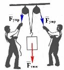 Fупр= Fтяж [8, c.110]