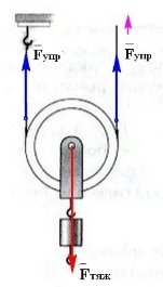 [9, c.40]