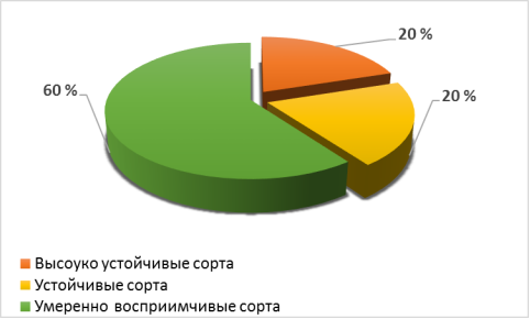 Соотношение сортов озимой мягкой пшеницы по устойчивости/восприимчивости к желтой ржавчине