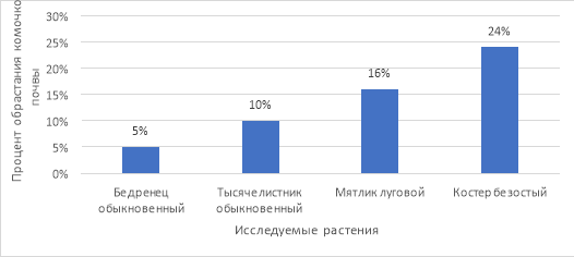 Встречаемость бактерий р. Azotobacter в ризосфере растений