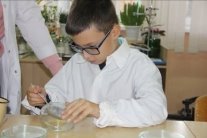 Подготовка для посевов (фото автора)