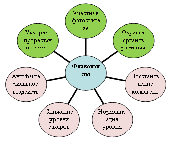 Биологическая роль флавоноидов